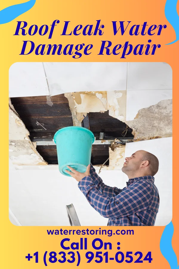 Roof Leak Water Damage Repair in Plainview, TN
